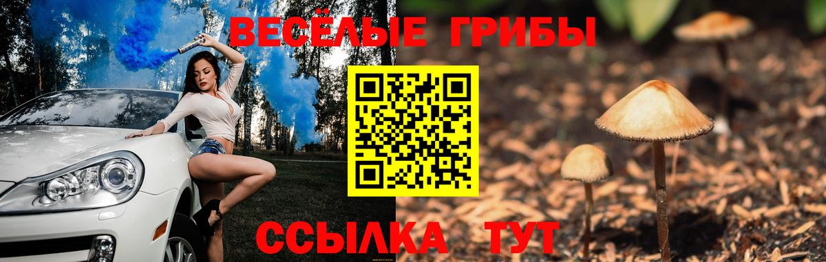 цены наркотик  Вход с VPN  Кемерово  Галлюциногенные грибы Magic Shrooms 