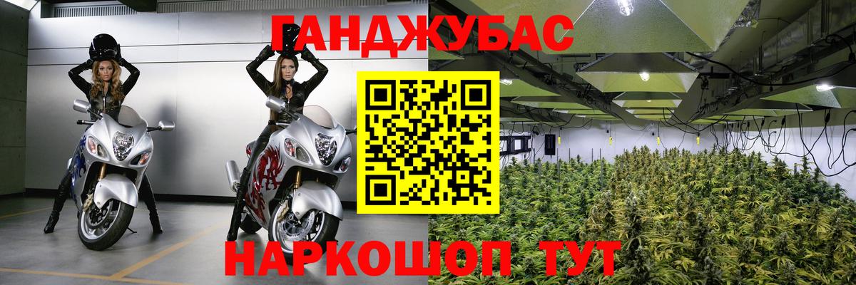Конопля план Кемерово